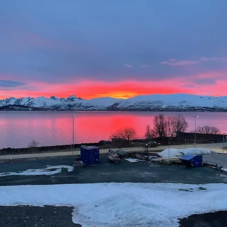 Nordheim Close To Sea Nature And Center Apartment Tromso
