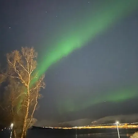 Apartment Nordheim Close To Sea Nature And Center Tromso